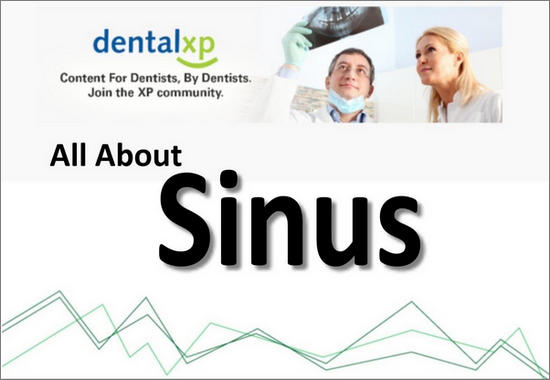 Maxillary Sinus: Minimally Invasive, Augmentation, Lift & Grafting (62 ...